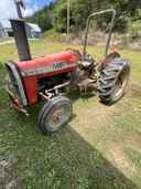 1981 Massey Ferguson 245