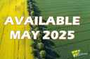2021 New Holland Workmaster 75 Image