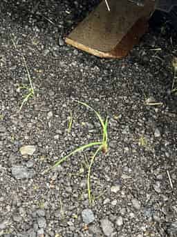 2023 John Deere RX84 Image