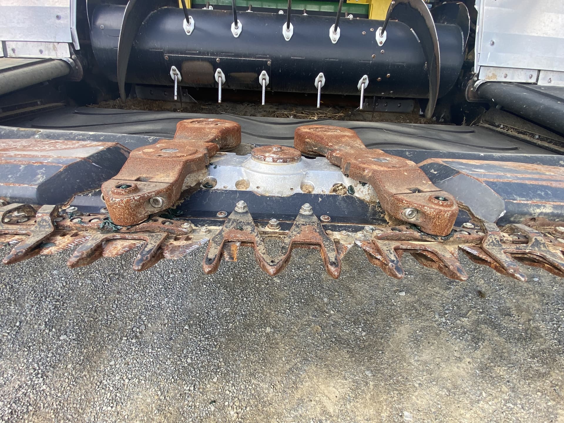 2022 Geringhoff TRUEFLEX RAZER 45 Image