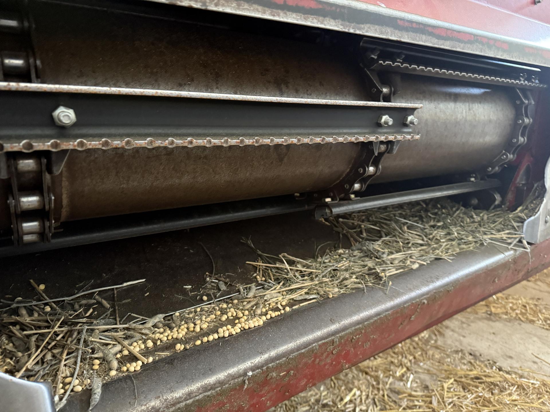 2009 Case IH 6088 Image