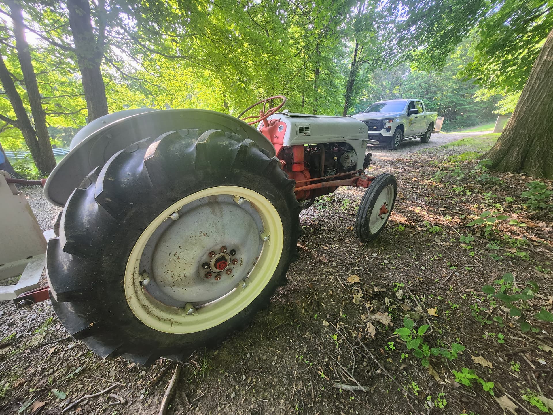 Ford 8N Image